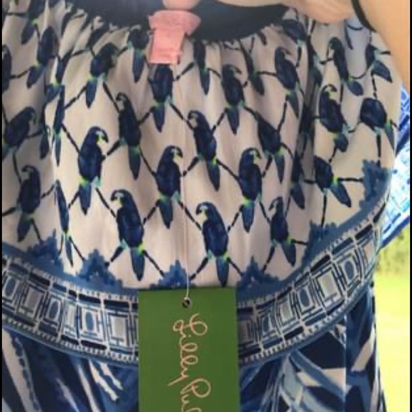 Gorgeous Small NWT Lilly Pulitzer Maxi Dress - Picture 4 of 4